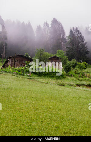 Ayder Yaylasi,Région de la mer Noire,Rize,Turquie.C'est un lieu unique dans les montagnes... très verte, avec vue sur les montagnes, cascades et rivières Banque D'Images