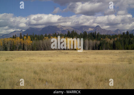 Grande Prairie dans l'embranchement nord, le parc national des Glaciers..Grande Prairie. Banque D'Images