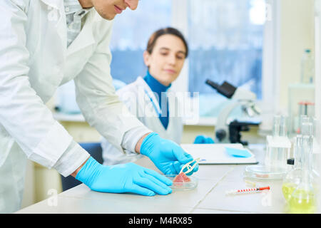 Groupe de jeunes scientifiques talentueux portant des manteaux blancs rassemblés au laboratoire moderne et le travail sur projet futuriste de la viande cultivée creat Banque D'Images