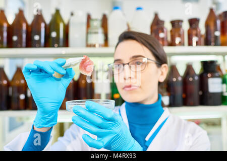 Head and shoulders portrait of attractive young scientist portant des gants de caoutchouc et le manteau blanc de la qualité de l'inspection de la viande in vitro alors que l'échantillon standi Banque D'Images