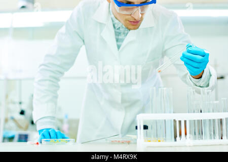 Beau jeune chercheur portant des lunettes et manteau blanc à la recherche de tube à essai avec la concentration dans l'exercice de l'expérience en laboratoire moderne Banque D'Images