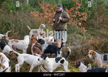 Selkirk, Philipaugh Estate, au Royaume-Uni. 17.fév.2018. Lauderdale Lauderdale Recherche de Foxhounds rencontrez à Philiphaugh Estate près de Selkirk (Photo : Rob Gray) Crédit : Rob Gray/Alamy Live News Banque D'Images