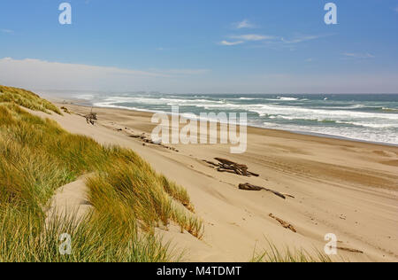 Soleil et vent sur la côte du Pacifique à Bullards Beach State Park dans l'Oregon Banque D'Images