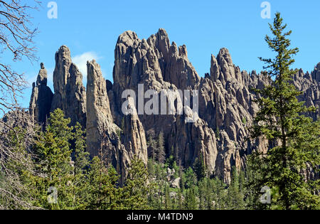 Dans les pinacles spectaculaires les Black Hills du Dakota du Sud dans la région de Custer State Park Banque D'Images