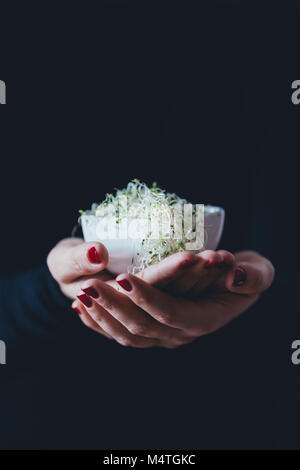 Femme est titulaire d'un tas de pousses de luzerne dans un bol blanc Banque D'Images