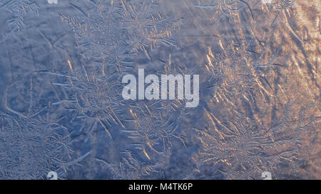 Flocons sur la fenêtre de tir en supermacro. Banque D'Images