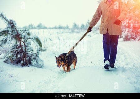 Homme avec chien en laisse marche sur route de campagne enneigée en hiver Banque D'Images