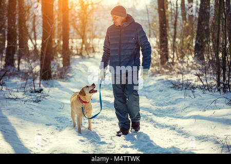 Homme avec chien en laisse marche sur la forêt de pins enneigés en hiver Banque D'Images