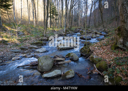 Les cours d'eau de printemps de la rivière de montagne, qui est situé dans la zone forestière dans le territoire de l'ouest de l'Ukraine Banque D'Images