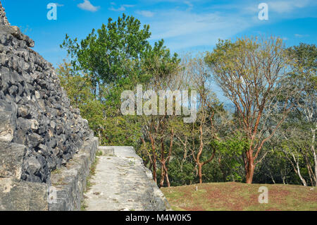Close up des murs d'El Castillo pyramide de Xunantunich site archéologique de la civilisation maya dans l'ouest du Belize. Avec arbres et ciel bleu backg Banque D'Images