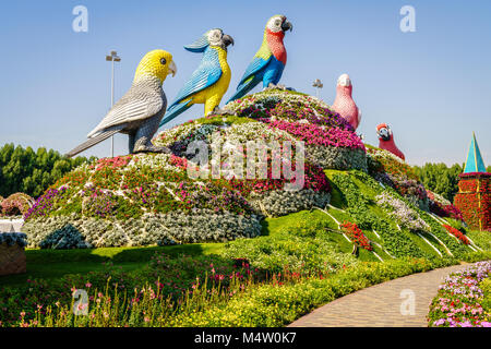 Dubaï, Émirats arabes unis, le 12 décembre 2016 : Miracle Jardin est l'une des principales attractions touristiques de DUBAÏ, ÉMIRATS ARABES UNIS Banque D'Images