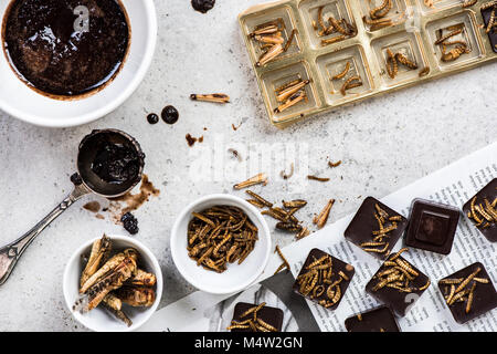 La fabrication du chocolat avec des insectes comestibles. Les tendances culinaires Banque D'Images