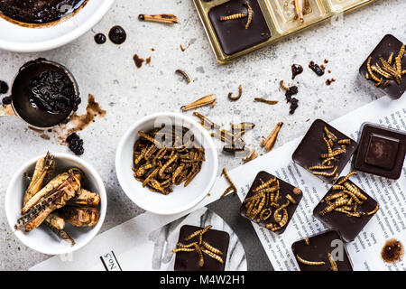 Les insectes comestibles faites maison avec du chocolat, vue de dessus. Banque D'Images