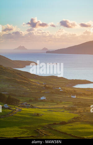 Lumière du soir sur les champs et les Îles Skellig à partir de la baie de Ballinskelligs, comté de Kerry, Irlande. Banque D'Images