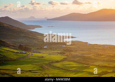 Lumière du soir sur les champs et les Îles Skellig à partir de la baie de Ballinskelligs, comté de Kerry, Irlande. Banque D'Images