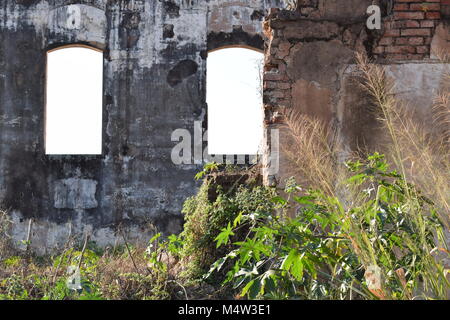 19e siècle ruine usine Windows Banque D'Images