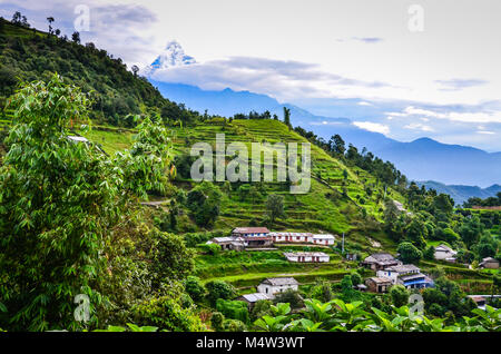 Village rural sur la pente en terrasses le long de la piste de l'Annapurna dans l'Himalaya au Népal avec montagne neige astuce en arrière-plan. Banque D'Images