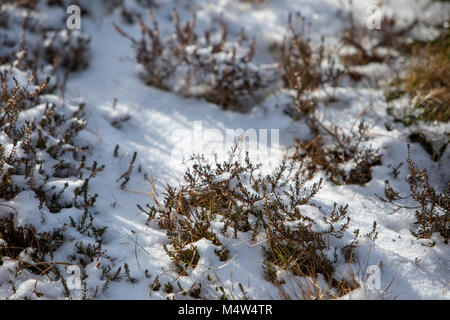 En Irlande, la neige montagnes Comeragh, comté de Waterford Février 2018 Banque D'Images