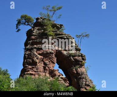 Forêt palatine en Rhénanie-palatinat/Allemagne ; nouveau grès rouge Banque D'Images