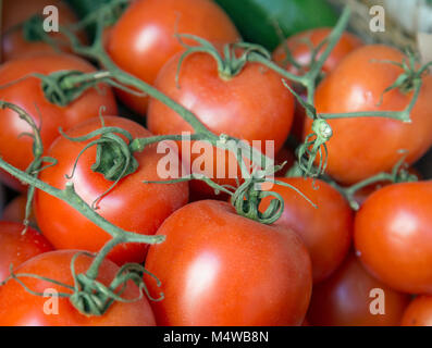 Shop affichage des tomates en grappes Banque D'Images