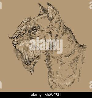 Chien Schnauzer nain vector dessin noir et blanc illustration isolé sur fond beige Illustration de Vecteur