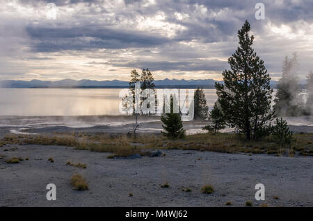 L'aube sur le lac Yellowstone avec de la vapeur passant à travers les arbres de zones thermiques. Le Parc National de Yellowstone, Wyoming. Banque D'Images