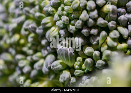 Le brocoli prêt pour le pot Banque D'Images