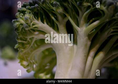 Le brocoli prêt pour le pot Banque D'Images