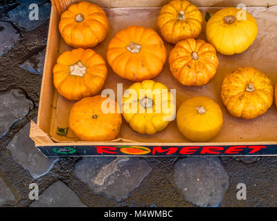 Campo de' Fiori à Rome, Italie Banque D'Images