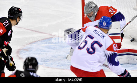 Incheon, Corée. Feb 17, 2018. Francouz gardien Pavel (CZE) en action au cours de l'Agence contre la République tchèque match de hockey sur glace dans le Jeux Olympiques d'hiver de 2018 à Gangneung, Corée du Sud, le 17 février 2018. Credit : Michal Kamaryt/CTK Photo/Alamy Live News Banque D'Images