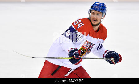 Incheon, Corée. Feb 17, 2018. Tomas Kundratek (CZE) en action au cours de l'Agence contre la République tchèque match de hockey sur glace dans le Jeux Olympiques d'hiver de 2018 à Gangneung, Corée du Sud, le 17 février 2018. Credit : Michal Kamaryt/CTK Photo/Alamy Live News Banque D'Images