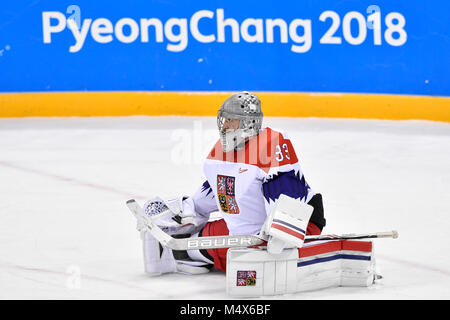 Incheon, Corée. Feb 17, 2018. Francouz gardien Pavel (CZE) est visible pendant l'Canada contre la République tchèque match de hockey sur glace dans le Jeux Olympiques d'hiver de 2018 à Gangneung, Corée du Sud, le 17 février 2018. Credit : Michal Kamaryt/CTK Photo/Alamy Live News Banque D'Images