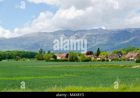 Campagne française tranquille des paysages avec des maisons simples et de vastes prairies, avec les Alpes en toile de fond sous ciel nuageux à Prévessin-Moëns, France. Banque D'Images