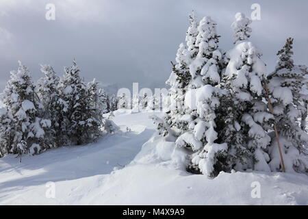 Paysage d'hiver Banque D'Images