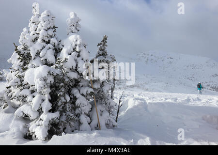 Paysage d'hiver Banque D'Images