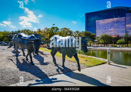 Grande statue de longhorn cattle commémorant 19e siècle de bétail de l'Ouest. La statue représente 49 pilote et 3 trail riders et est trouvé dans Pion Banque D'Images