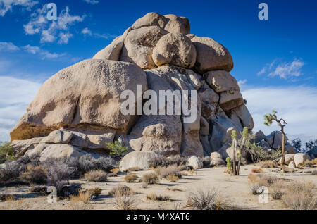 Vue arrière d'Intersection Rock dans le parc national Joshua Tree Yucca Valley Mohave Desert en Californie aux États-Unis. Banque D'Images