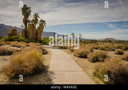 800 m sentier nature par oasis dans le désert. Banque D'Images