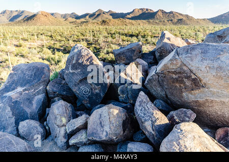 Des pétroglyphes, ou l'art rupestre, dans Saguaro National Park ont été sculptées dans la pierre par les gens Hohokam il y a plus de mille ans. Banque D'Images