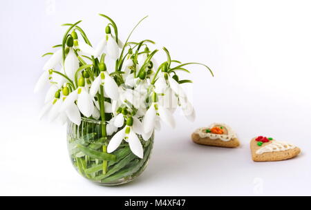 Perce-neige fraîche dans un vase sur fond blanc Banque D'Images