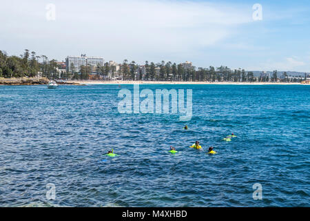 Arbre généalogique chou Bay réserve marine protégée sur le marche de Manly à Shelly Beach, Sydney, NSW, Australie Banque D'Images