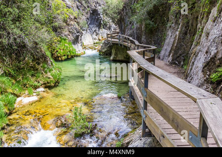 Par Boardwalk Cerrada de Elias gorge, dans le Parc National de Cazorla, Espagne Banque D'Images