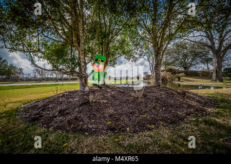 Leprechaun protège le site de son trésor enterré. Banque D'Images