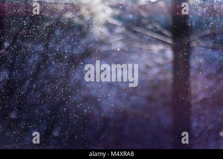 Flocons brillants dans moonlight in forest Banque D'Images