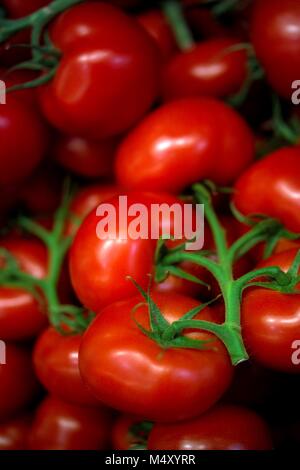 Les tomates sur la vigne Banque D'Images