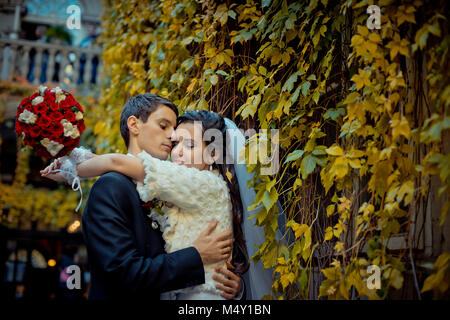 Portrait de mariage en plein air de l'attractive gorgeous newlyweds hugging tendrement près de la promenade couverte de feuilles jaunies. Temps d'automne. Banque D'Images