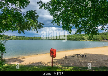 Canards sur le lac Banque D'Images