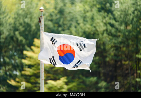 Le drapeau coréen est palpitations dans la forêt. Banque D'Images