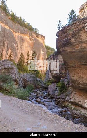 Vue verticale de falaises impressionnantes et les flux de rock à la base de la Folle Canyon. Banque D'Images