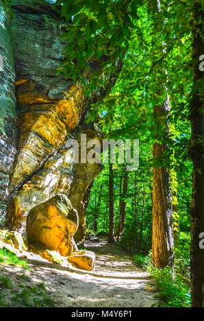 Sentiers le long des murs massifs de roches conglomérées Sharon, drapées de fougères, de mousses, de pruches et s'infiltre dans le parc national de Cuyahoga Valley. Banque D'Images